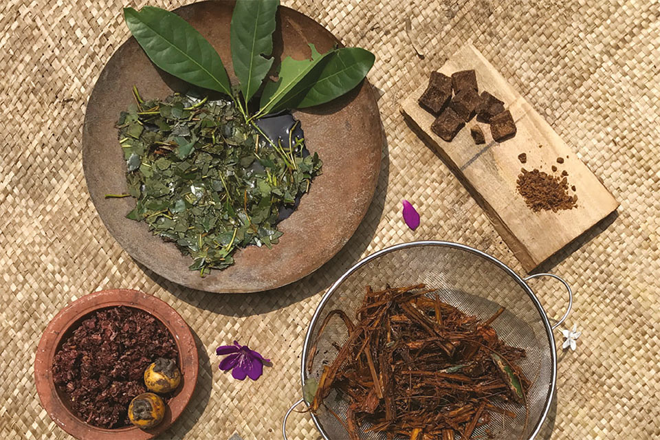 The use of natural biopolymers in traditional earthen dwellings in Kerala