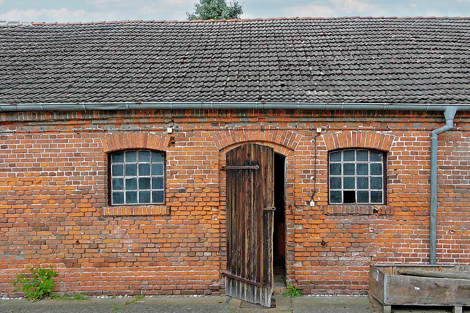 Einsatz von Lehm als Salzreduktionsputz